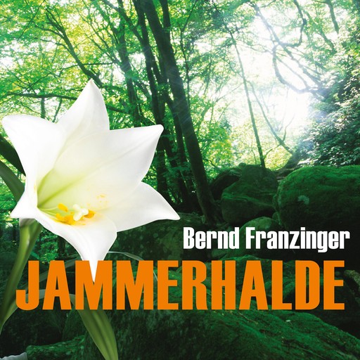 Jammerhalde (Ungekürzt), Bernd Franzinger