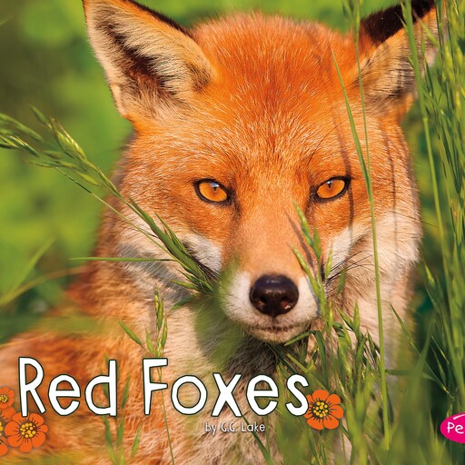 Red Foxes, G.G. Lake