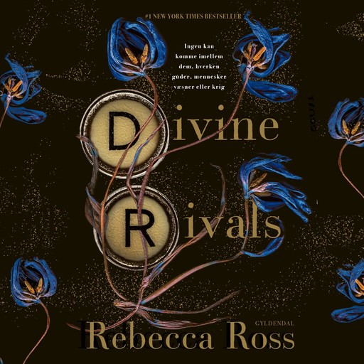 Divine Rivals, Rebecca Ross