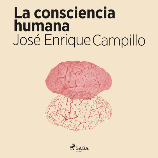 La consciencia humana, José Enrique Campillo