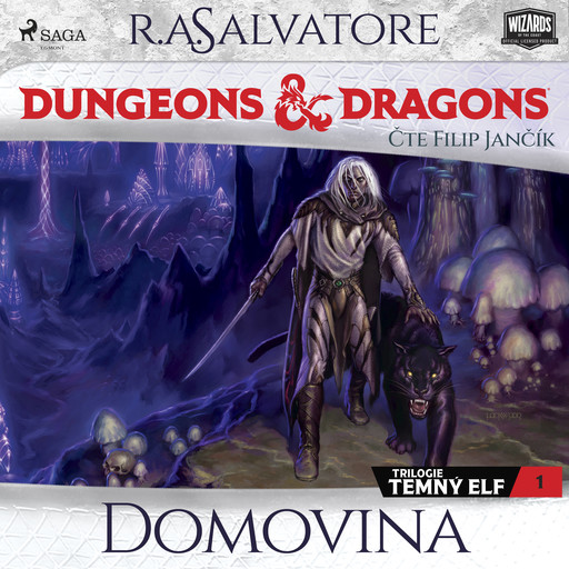 Dungeons & Dragons. Legenda o Drizztovi. Temný elf 1: Domovina, R.A. Salvatore