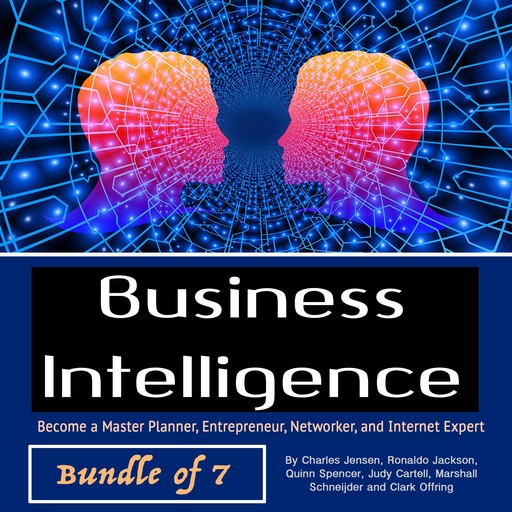Business Intelligence, Spencer Quinn, Judy Cartell, Marshall Schneijder, Clark Offring, Charles Jensen, Ronaldo Jackson
