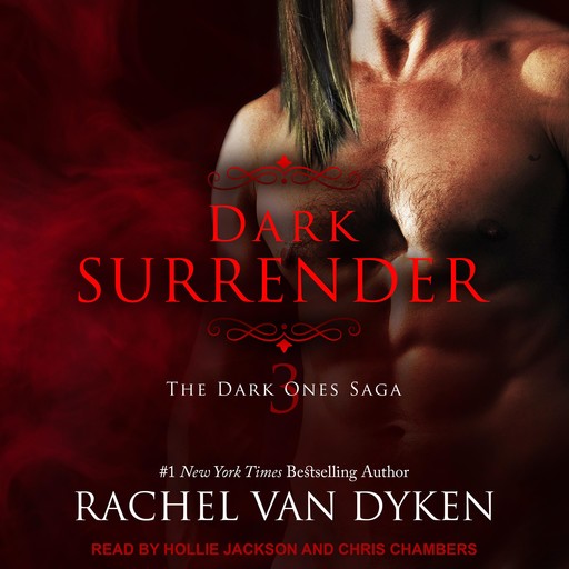 Dark Surrender, Rachel van Dyken