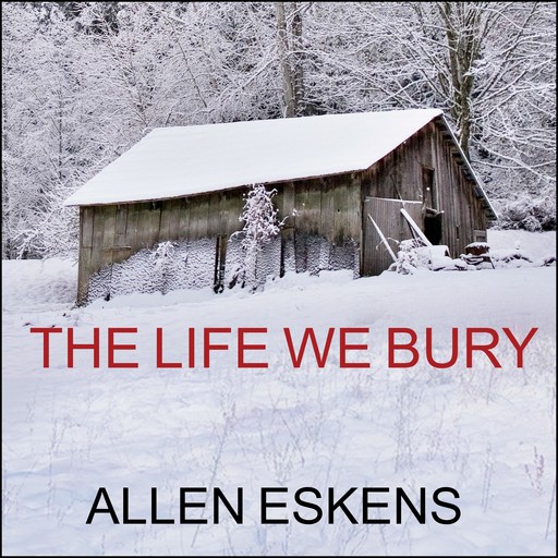 The Life We Bury, Allen Eskens