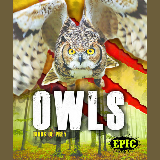 Owls, Nathan Sommer