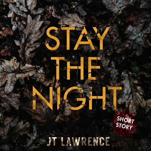 Stay the Night, JT Lawrence