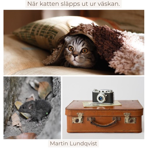 När katten släpps ut ur väskan., Martin Lundqvist