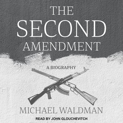 The Second Amendment, Michael Waldman