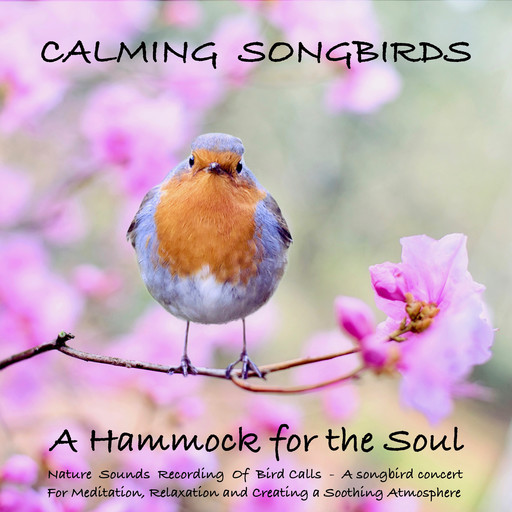 Calming Songbirds: Nature Sounds Recording Of Bird Calls - A songbird concert for Meditation, Relaxation and Creating a Soothing Atmosphere, Yella A. Deeken