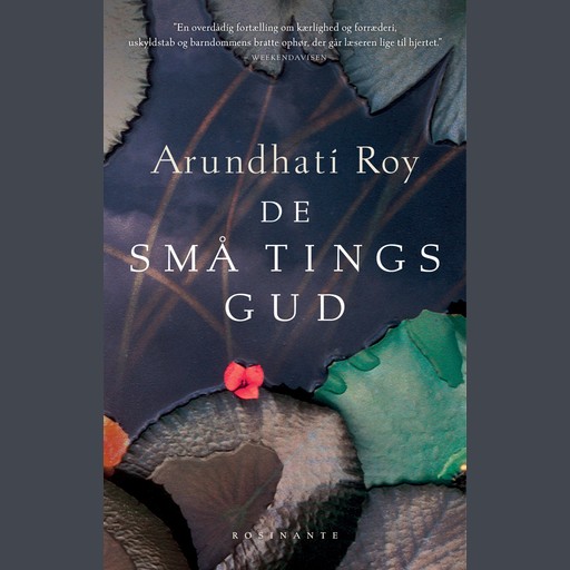 De små tings gud, Arundhati Roy