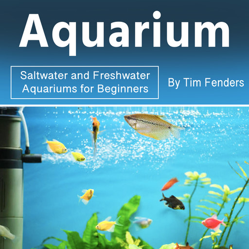 Aquarium, Tim Fenders