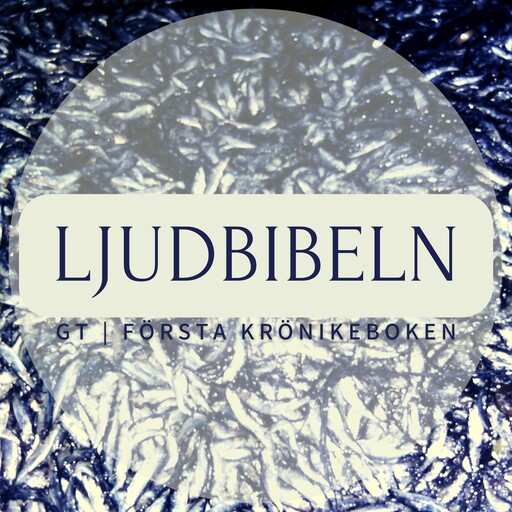 GT | Första Krönikeboken, Ljudbibeln