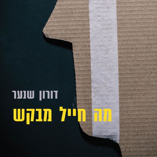 מה חייל מבקש, דורון שנער