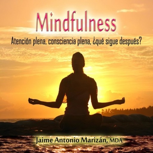 Mindfulness, Jaime Antonio Marizan