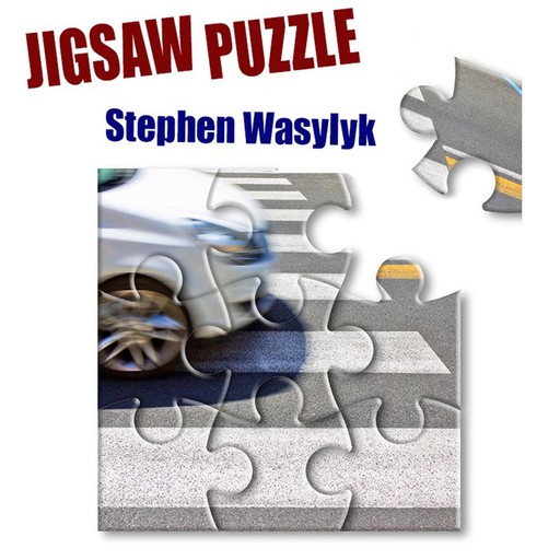 Jigsaw Puzzle, Stephen Wasylyk