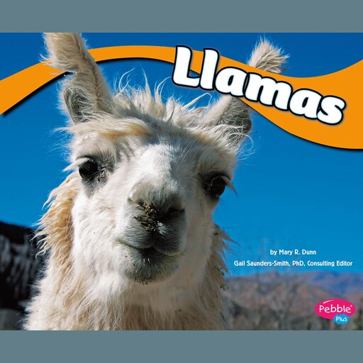 Llamas, Mary Dunn