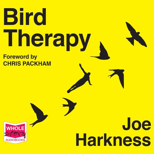Bird Therapy, Joe Harkness