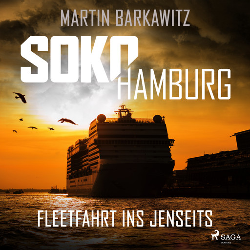 SoKo Hamburg: Fleetfahrt ins Jenseits (Ein Fall für Heike Stein, Band 3), Martin Barkawitz