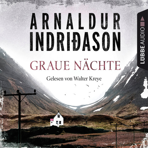 Graue Nächte - Island-Krimi - Flovent-Thorson-Krimis 2 (Gekürzt), Arnaldur Indriðason