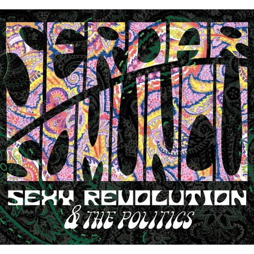 Serdar Somuncu, Sexy Revolution & The Politics, Serdar Somuncu