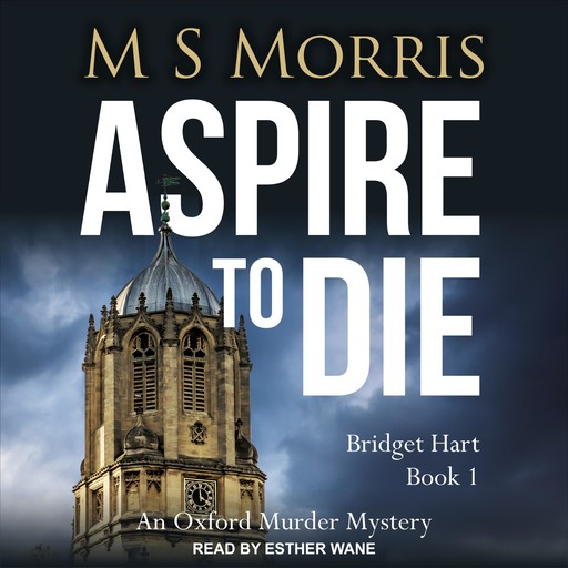 Aspire to Die, M.S. Morris
