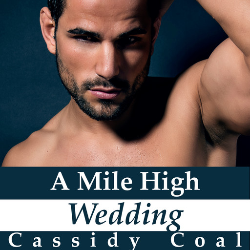 A Mile High Wedding (A Mile High Romance Book 8), Cassidy Coal
