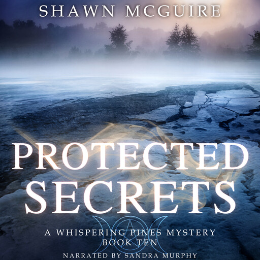 Protected Secrets, Shawn McGuire