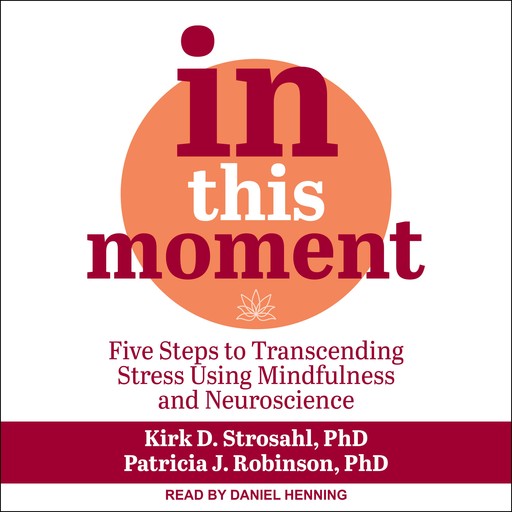 In This Moment, Kirk D. Strosahl, Patricia J. Robinson