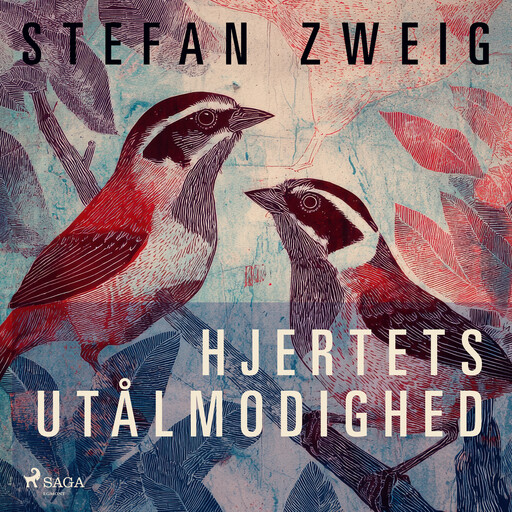 Hjertets utålmodighed, Stefan Zweig