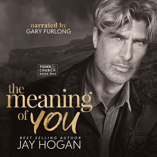 The Meaning of You, Jay Hogan