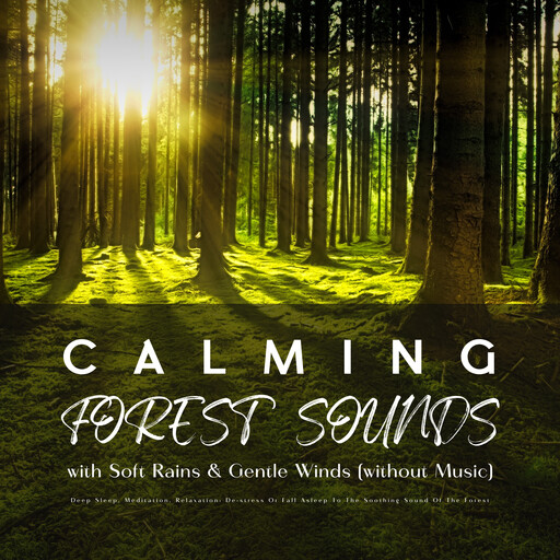 Calming Forest Sounds with Relaxing Rain & Gentle Winds (without Music), HARMONIXX - PURE NATURE SOUNDS
