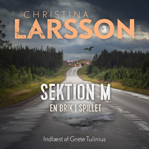 Sektion M III, Christina Larsson