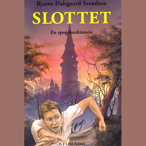 Slottet, Bjarne Dalsgaard Svendsen