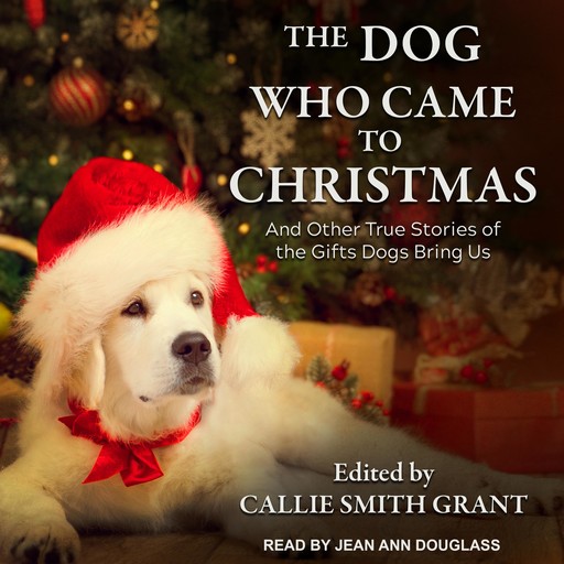 The Dog Who Came to Christmas, Callie Smith Grant