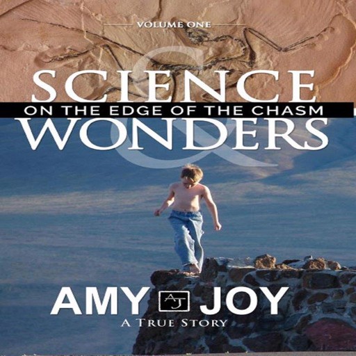 Science & Wonders Vol. 1: On the Edge of the Chasm, Amy Joy