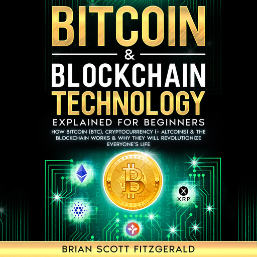 Bitcoin & Blockchain Technology Explained For Beginners, Brian Fitzgerald