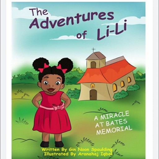 A Miracle at Bates Memorial: The Adventures of Lili, Gin Noon Spaulding