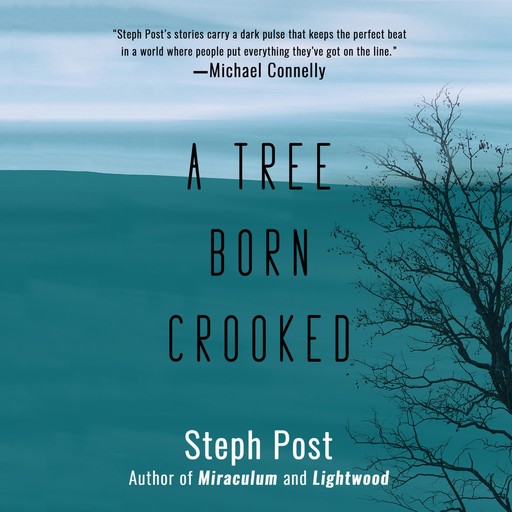 A Tree Born Crooked, Steph Post