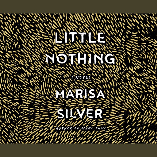 Little Nothing, Marisa Silver