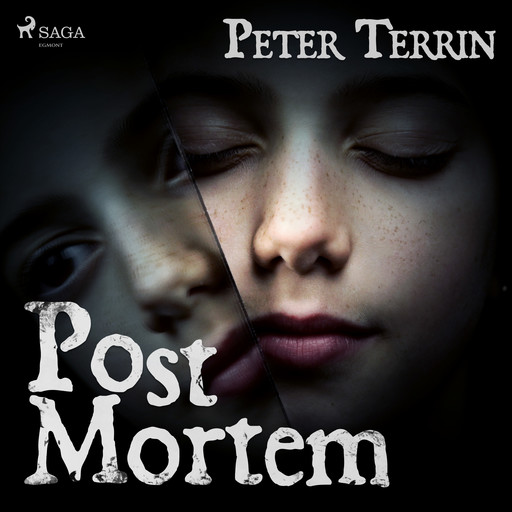 Post mortem, Peter Terrin