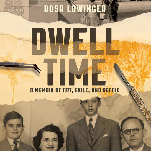 Dwell Time, Rosa Lowinger