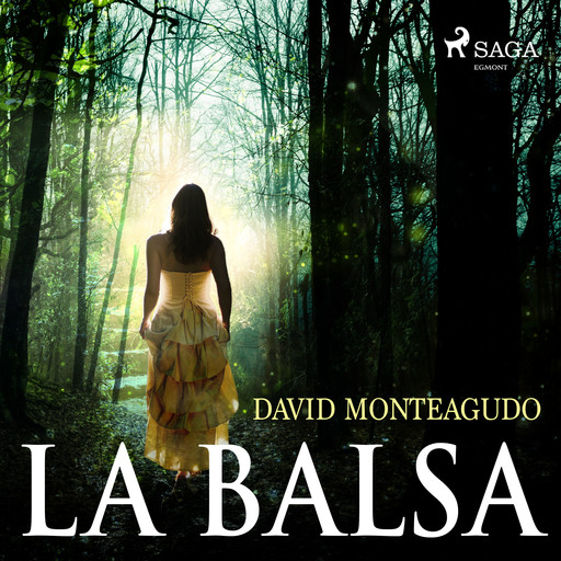 La balsa, David Monteagudo