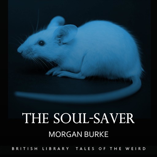 The Soul-Saver, Morgan Burke