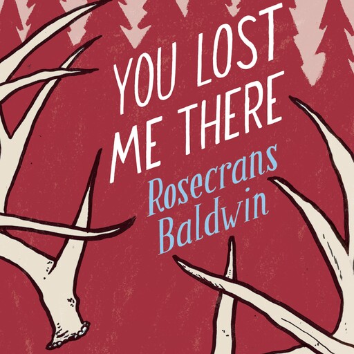 You Lost Me There, Rosecrans Baldwin