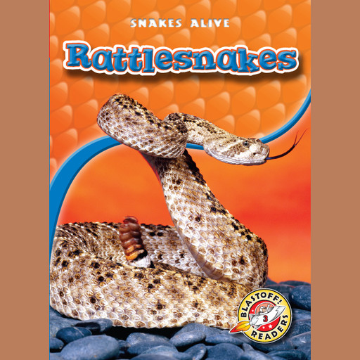 Rattlesnakes, Colleen Sexton