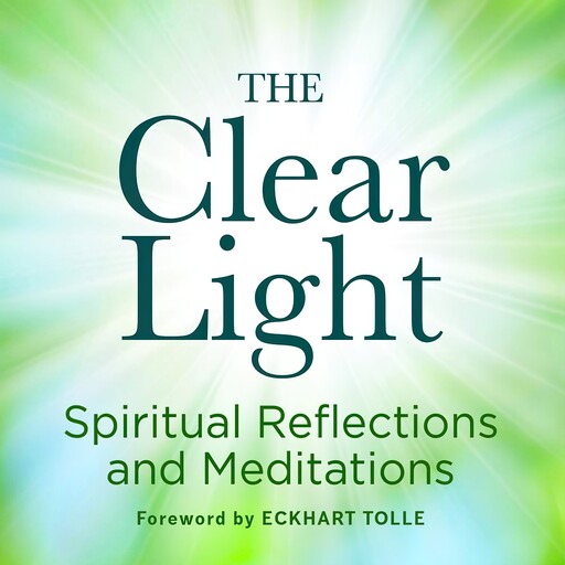 The Clear Light Audiobook, Steve Taylor