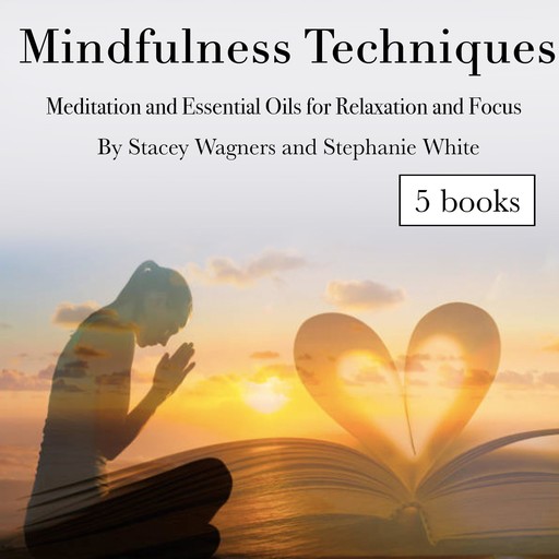 Mindfulness Techniques, Stephanie White, Stacey Wagners