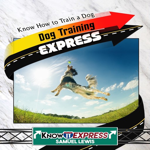 Dog Training Express, KnowIt Express, Samuel Lewis