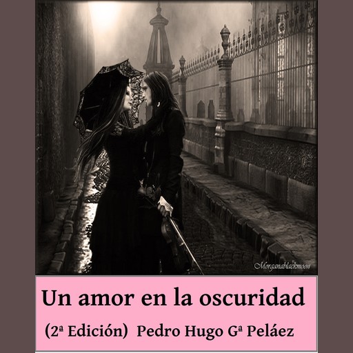 Un amor en la oscuridad (Historia de un amor moderno) 2ª edición, Pedro Hugo García Peláez