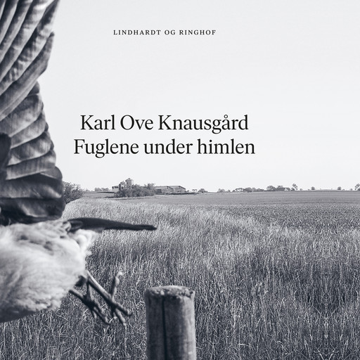 Fuglene under himlen, Karl Ove Knausgård